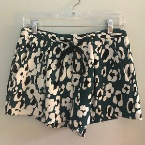 Zara Trafuluc Shorts